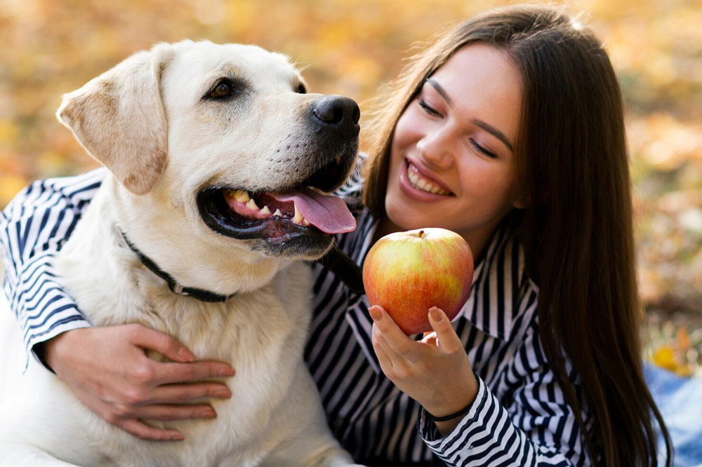 Fruits Can Dogs Eat